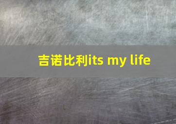 吉诺比利its my life